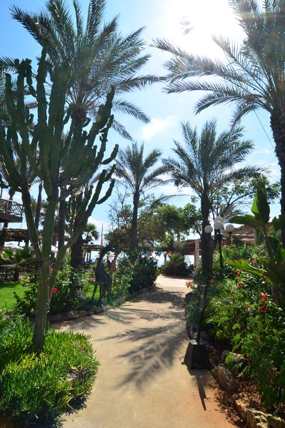 Sunday At Edde Sands